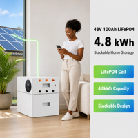 Batterie de stockage d'énergie domestique LiFePO4 48V 100Ah 4,8kWh, empilable, montage mural, système solaire hors réseau, BMS intelligent, Bluetooth, OEM ODM