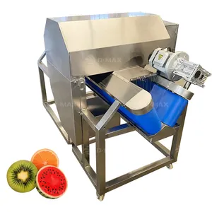 Goede Feedback Fruit En Plantaardige Kool Watermeloen Halve Snijmachine Met V Type Transportband