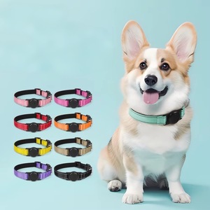 छोटे मध्यम कुत्तों के लिए ठोस एंटी-एस्केप नायलॉन कुत्ते कॉलर पट्टा सेट क्रॉस-बॉर्डर डिज़ाइन - Product Image 1