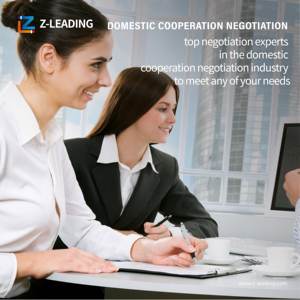 Expédition maritime de marchandises dangereuses, service DDP de Chine vers l'Europe et inspection des marchandises, pas cher et rapide - Product Image 2