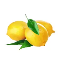 Emballage de fruits citron frais, emballage de stockage, frais