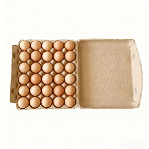Bán Buôn 30-Lỗ Trứng Carton Tùy Chỉnh Tấm Bảng Lưu Trữ Khay Giấy Với Nắp Chống Thấm Nước Tốt Nhất Trứng Container - Product Image 3