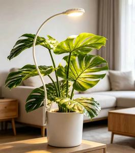 ไฟปลูกต้นไม้แบบหนีบ LED 4.5W ที่หนีบสามารถยึดกระถางต้นไม้ทรงบางที่มีแรงรับน้ำหนักต่ำได้ - Product Image 1