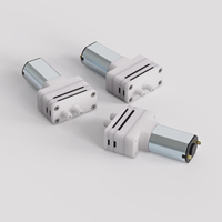 Pompa Air Mini DC, pompa air ringkas Mini kecil mikro 6V 12v 24v OEM untuk harga Transfer dosis cair air