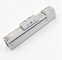Module linéaire de haute précision, course de 650 mm, vis à billes G12, actuateur linéaire ±0,03 mm pour équipement de découpe laser semi-conducteur