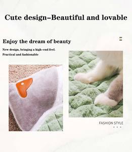 JZ Solid Pattern Stoff Hunde matte Katzen bett Wasch bar Bequemes Haustier Isomatte Reiß verschluss Abdeckung Modern für Kisten boden Verwendung Made Schwamm - Product Image 5