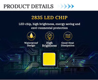 Projecteur LED à haute luminosité, étanche IP66, pour extérieur, jardin, cour, entrepôt, stade