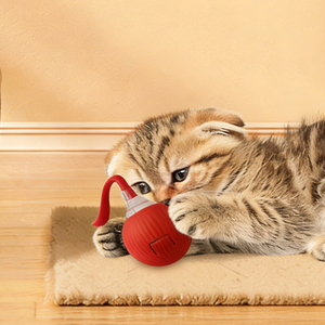 Jouet interactif intelligent et écologique pour chat, balle à roulement rapide en silicone pour <span class=keywords><strong>tapis</strong></span>, accessoires pour queue, pour chiens, commande minimum 10 pièces - Product Image 5