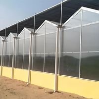 Serre agricole intelligente multi-voûtes de type Venlo en polycarbonate (feuille de PC) de 8 mm avec système hydroponique