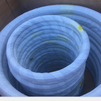 Tige de poussée légère Rodder de conduit de câble de serpent de fibre de verre pour le câblage électrique