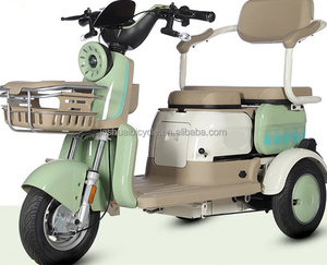 Tricycle électrique à 3 roues en acier EEC Trice 300-8 48V avec moteur de moyeu arrière de 600W pour adultes et personnes âgées, carrosserie ouverte - Product Image 5