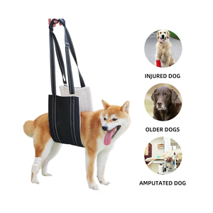 Fournitures d'assistance pour animaux de compagnie rembourrées chien âgé handicapé blessé récupération réadaptation soutien harnais Portable jambes arrière chien fronde - Product Image 1