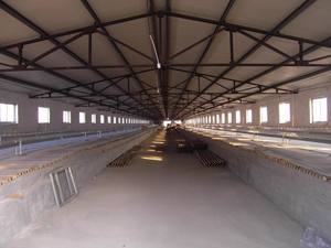 Bâtiment d'atelier en acier à <span class=keywords><strong>grande</strong></span> portée et à structure transparente pour usage industriel - Product Image 1