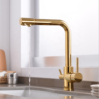 Robinet de purificateur d'eau chaude et froide, double poignée en céramique, eau chaude et froide, or torneira cuisine, vente en gros
