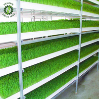 Système hydroponique de qualité alimentaire personnalisable avec technologie de plantation LED, équipé d'un broyeur de fourrage