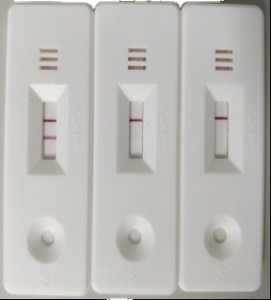 Bộ xét nghiệm nhanh kháng thể Brucellosis dê/bò, xét nghiệm kháng thể Brucella thú y để sử dụng - Product Image 4