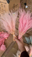 Pabrik Yunnan Menjual Rumput Pampas Mini Bulu Alami Terlaris untuk Dekorasi Rumah Hari Valentine