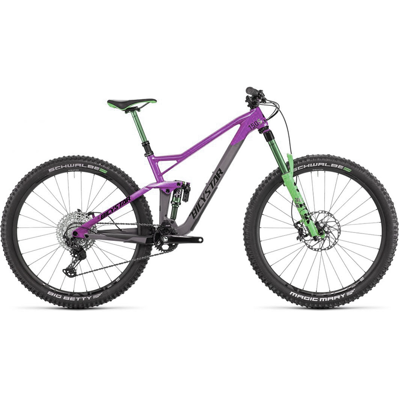 Alloy Outroad 26 Inch Mountain Bike - 21-Speed Adult Bike