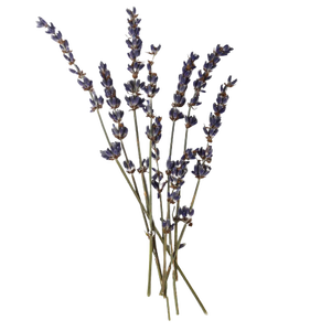 Herbes piment 100% naturelles, 12 pièces, excellente qualité, couleur verte foncée, odeur égyptien, séchées, épices, poivre, vente en gros - Product Image 3