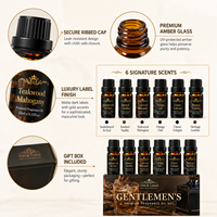Luxe Premium Heren Parfumolie Set voor Diffuser, Kaars, Zeep en Parfumproductie - Premium Geur & Parfum
