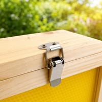 Boîte d'observation des abeilles en bois avec panneaux acryliques double face et aérations – Observatoire apicole pour cadres de ruche