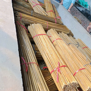 เสาไม้ไผ่ขนาดเล็กสำหรับรองรับพืชสวน - Product Image 2