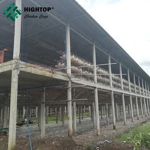 Aves <span class=keywords><strong>de</strong></span> corral capa jaulas <span class=keywords><strong>de</strong></span> pollo para kenya gallina <span class=keywords><strong>granja</strong></span> - Product Image 6