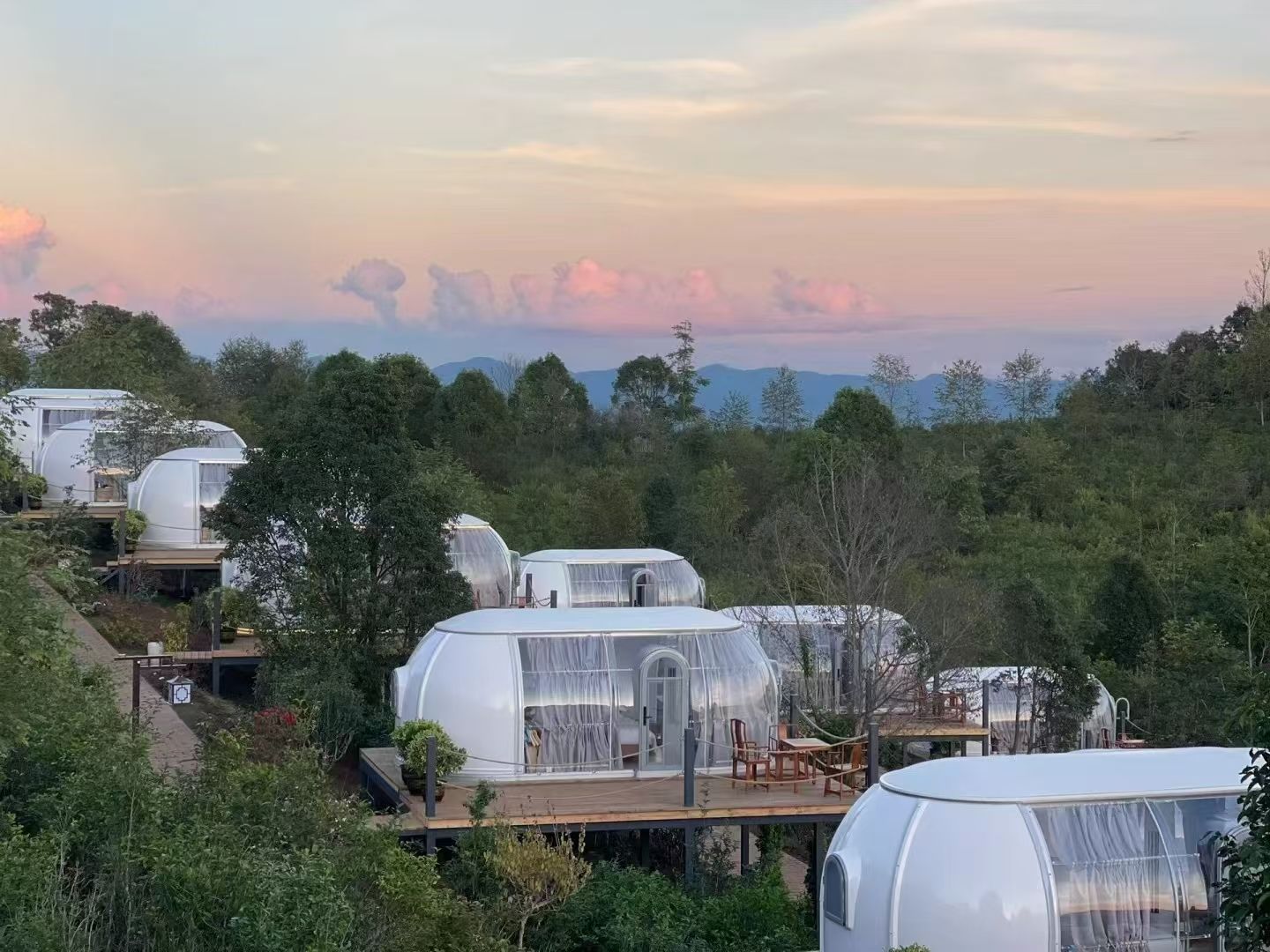 โปร่งใส/ขาว