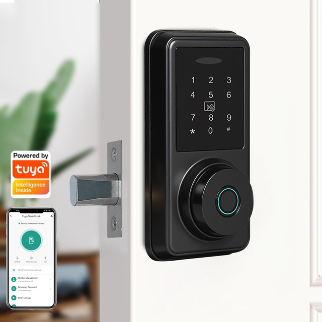 Hot Selling Door Lock Smart Home Indoor Tuya Security Digital Lock Wifi Smart Fingerprint Lock