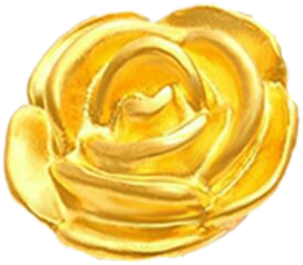 GP0002553 (เฉพาะจี้)