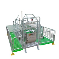 Cages de maternité complètes pour truies, fabriquées en Chine, pour l'accouchement et l'élevage de porcs, vente directe pour usage agricole