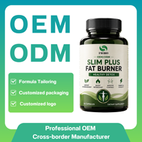 Capsules brûle-graisses Slim Plus OEM ODM, complément alimentaire naturel pour la perte de poids, contrôle de l'appétit, stimulation du métabolisme, soutien énergétique