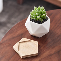 Pot de plante succulente géométrique blanc pour jardin d'intérieur, pots en céramique pour plantes, vente en gros
