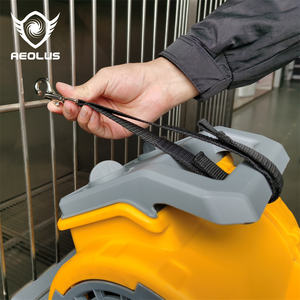 Aeolus 300W Venta al por mayor <span class=keywords><strong>Jaula</strong></span> <span class=keywords><strong>Secadora</strong></span> <span class=keywords><strong>para</strong></span> <span class=keywords><strong>perros</strong></span> Aseo Alfombra Secador <span class=keywords><strong>Jaula</strong></span> - Product Image 6