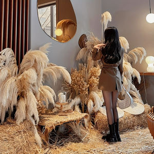 G22 bohémien Ambiance Pompas erba ideale <span class=keywords><strong>per</strong></span> composizioni floreali <span class=keywords><strong>vasi</strong></span> da pavimento alti steli di erba pampa in Beige naturale - Product Image 5