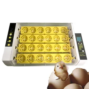 2022 New Product High hatching rate mini Incubator for 24/48/96 eggs Mini Chicken Egg Incubator Dual Power Supply