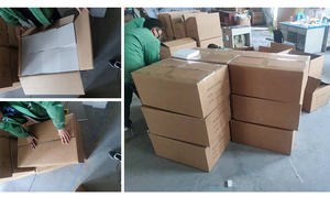 Science médicale Modèle de fécondation <span class=keywords><strong>humaine</strong></span> et de processus de développement embryonnaire précoce Spécimen d'affichage de planification familiale gynécologique - Product Image 5