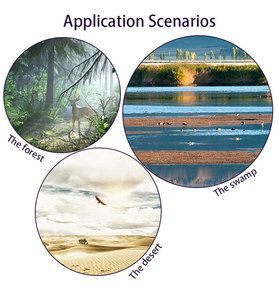 Mới nhất chất lượng tốt Nhà Máy Giá đa âm thanh Loa chim người gọi MP3 ngỗng săn mồi nhử động vật thiết bị âm thanh - Product Image 5