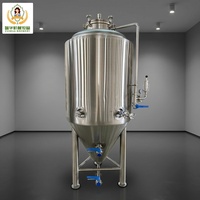 Unité de Fermentation en Acier Inoxydable 2000L (Unitank) CCT CE/PED, Installée et Fonctionnelle en Allemagne pour la Transformation des Boissons et du Vin