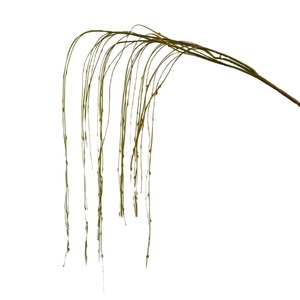 Branche de saule artificielle Secret Garden 120 cm, verte, en plastique souple, pour décoration murale de mariage et de maison - Product Image 1