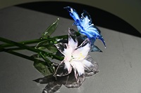 Cadeaux d'entreprise pour la Fête des Mères : Fleur de lys en verre soufflé artisanal transparent, élégante décoration florale pour la maison, idéale pour la présentation dans le salon, l'intérieur de boutique et la table de mariage.
