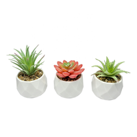Set Tanaman Sukulen Buatan Dekorasi Rumah 3pcs Aneka Sukulen Palsu Hijau Pink PE Tampilan Alami Pot Kecil