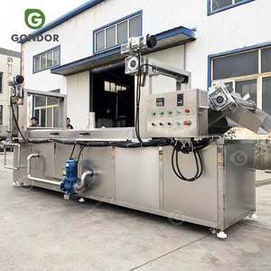 Freidora Continua para Pollo Frito Crujiente y Bocadillos de Pescado con Cacahuete en Nigeria - Product Image 2