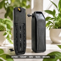 Pack de batterie pour vélo électrique Hailong 48V 18Ah 21700 13S4P 864Wh Batterie lithium-ion avec connecteur XT60 pour vélo électrique