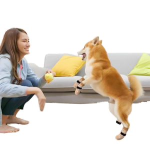 पालतू सामान थोक आरामदायक गैर पर्ची पालतू उपकरण जूते कुत्ते मोजे गैर-पर्ची वाटरप्रूफ पालतू मोजे - Product Image 5