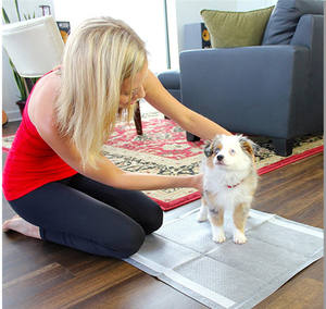 Almohadillas de entrenamiento para mascotas, de fibra de carbón de bambú, pequeñas, para cachorros y perros - Product Image 6