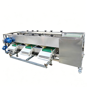 Máquina Clasificadora Automática Eficiente para Frutas, Patatas, Batatas y Lichis, Máquina Clasificadora de Frutas - Product Image 1