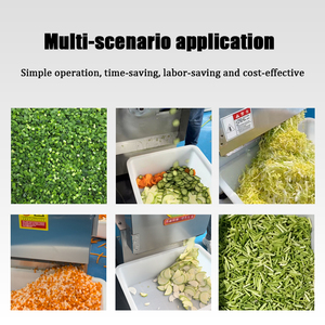 Tracchettatore di verdure multifunzione commerciale con motore per la ristorazione mense e impianto di trasformazione di <span class=keywords><strong>ortaggi</strong></span> - Product Image 5