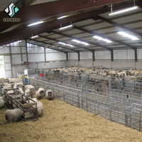 Conception industrielle en acier d'élevage de chèvre et de moutons de poutre en H