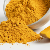 Wild Mango Plant Extract Poeder Gefreeze-droogd Natuurlijk Fruitpoeder Grondstof Voedselingrediënt